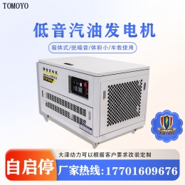 大泽动力 应急物资 低噪音20kw汽油发电机 TOTO20-V