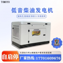 全自动10KW静音柴油发电机 型号TO14000ET-V 品牌大泽动力